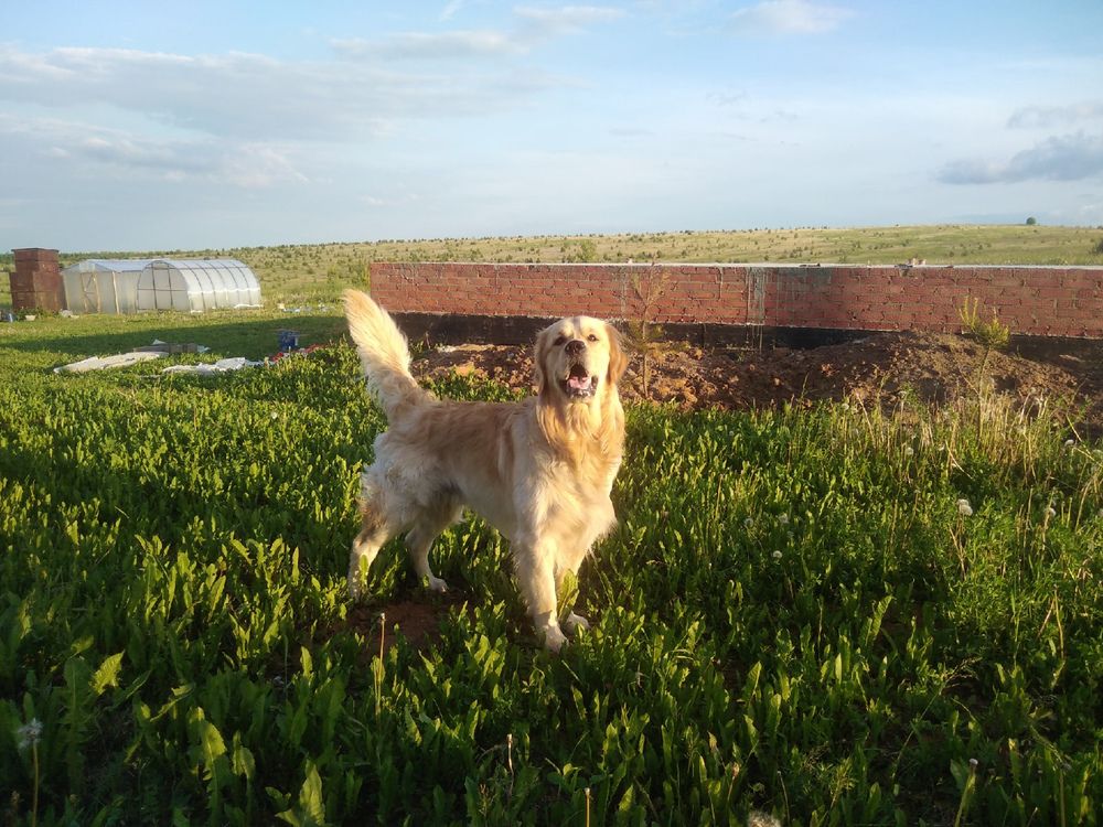 Photograph by Василина Окладовикова