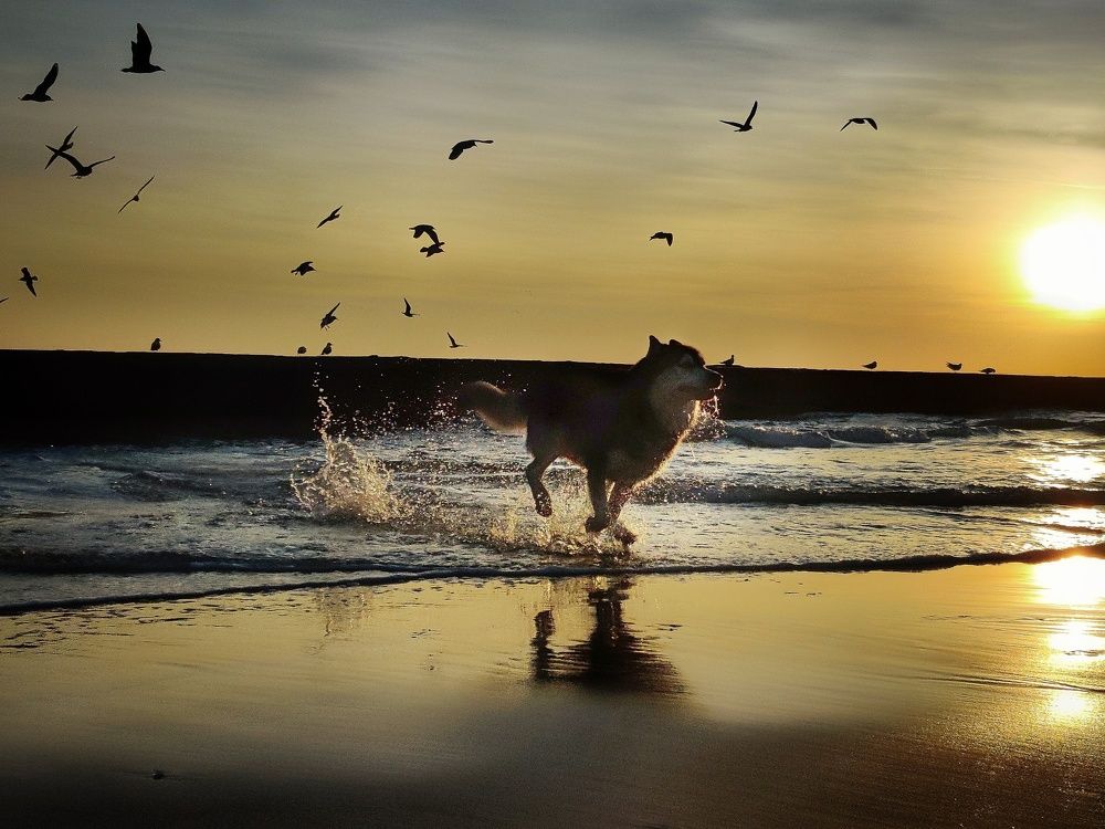 Photograph by Юлия Федорова