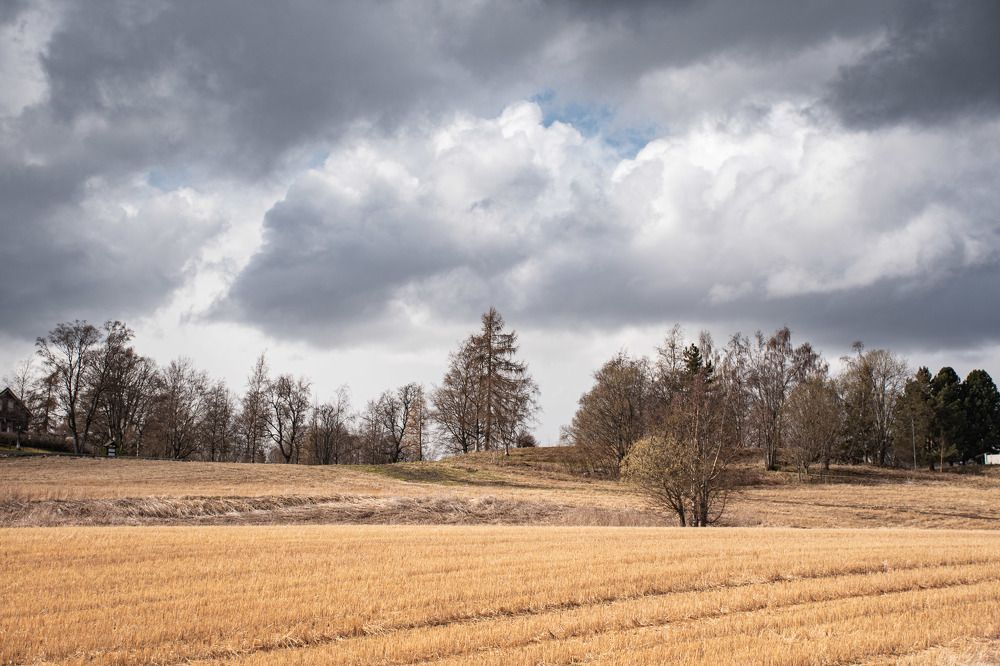 Photograph by Svetlana Davydova