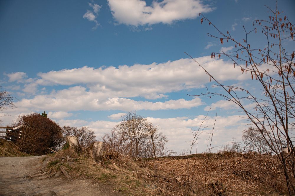 Photograph by Svetlana Davydova