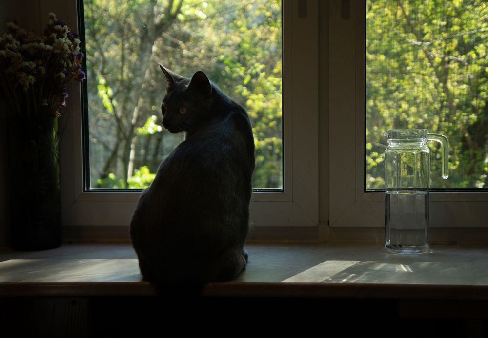 Photograph by Ольга Копина