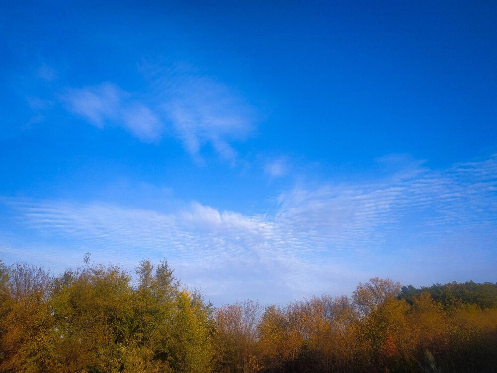 Photograph by Татьяна Ермолаева