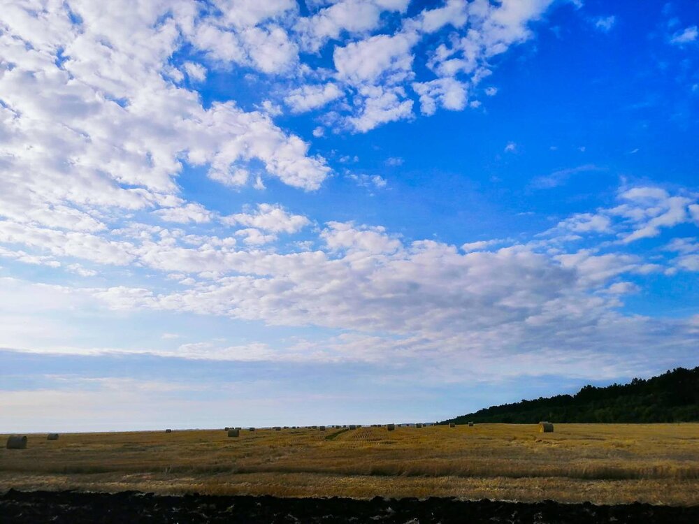 Photograph by Татьяна Ермолаева
