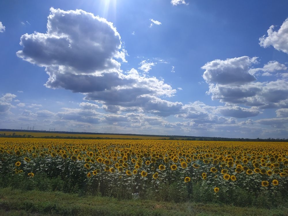 Photograph by Татьяна Ермолаева