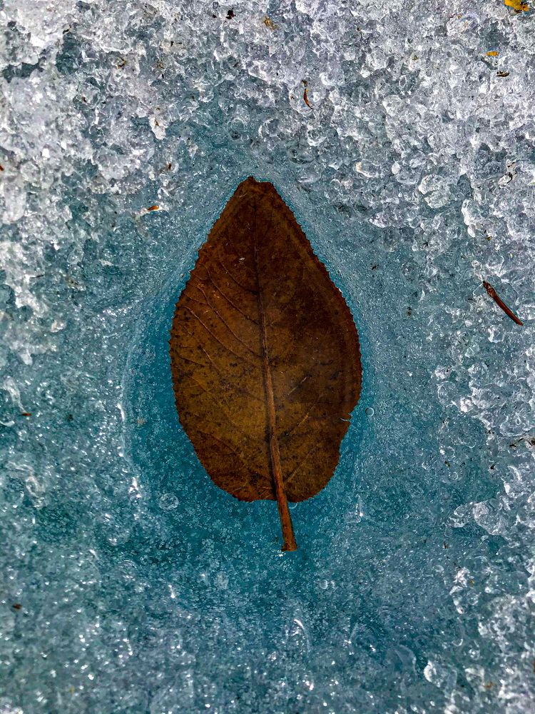 Photograph by Рустем Садыков