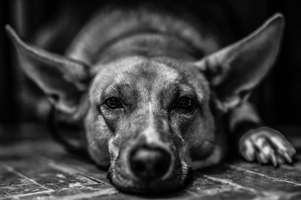 Photograph by Никита Полозов