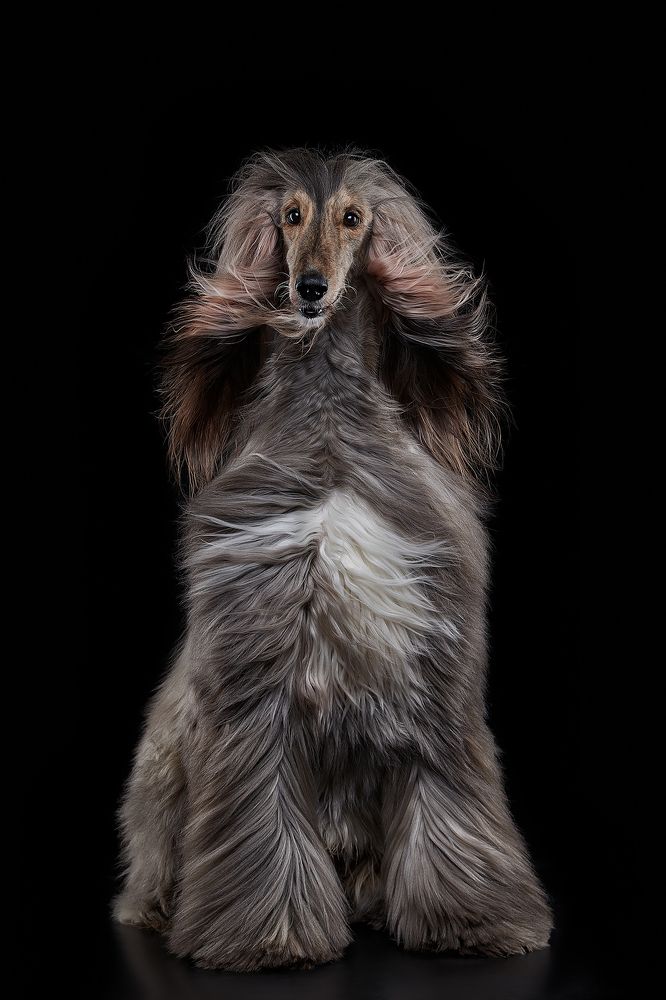 Photograph by Лана Полякова