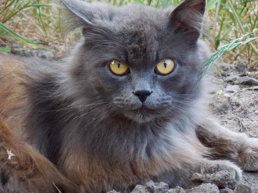 Photograph by Олександр Розум