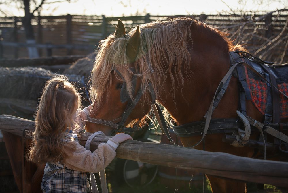 Photograph by Титаренко Ольга