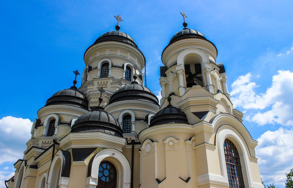 Photograph by iulia falo