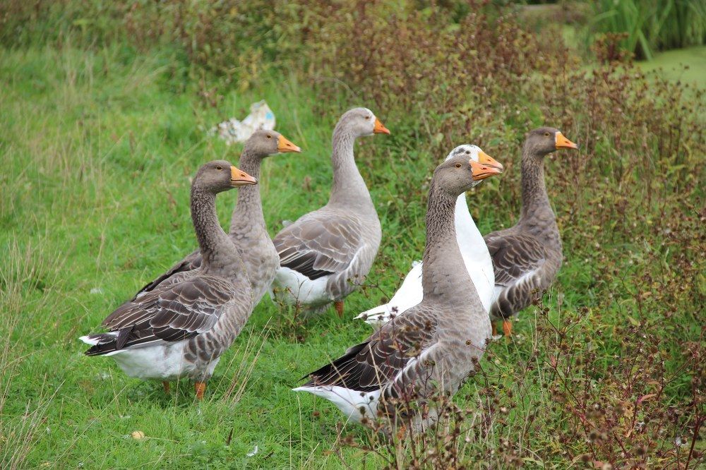 Photograph by Юлия Якимчик