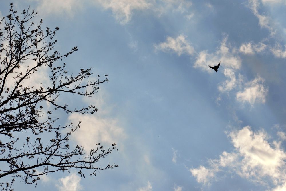 Photograph by SIMONE CIULLI