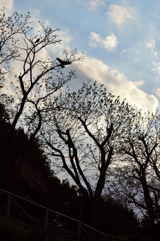 Photograph by SIMONE CIULLI