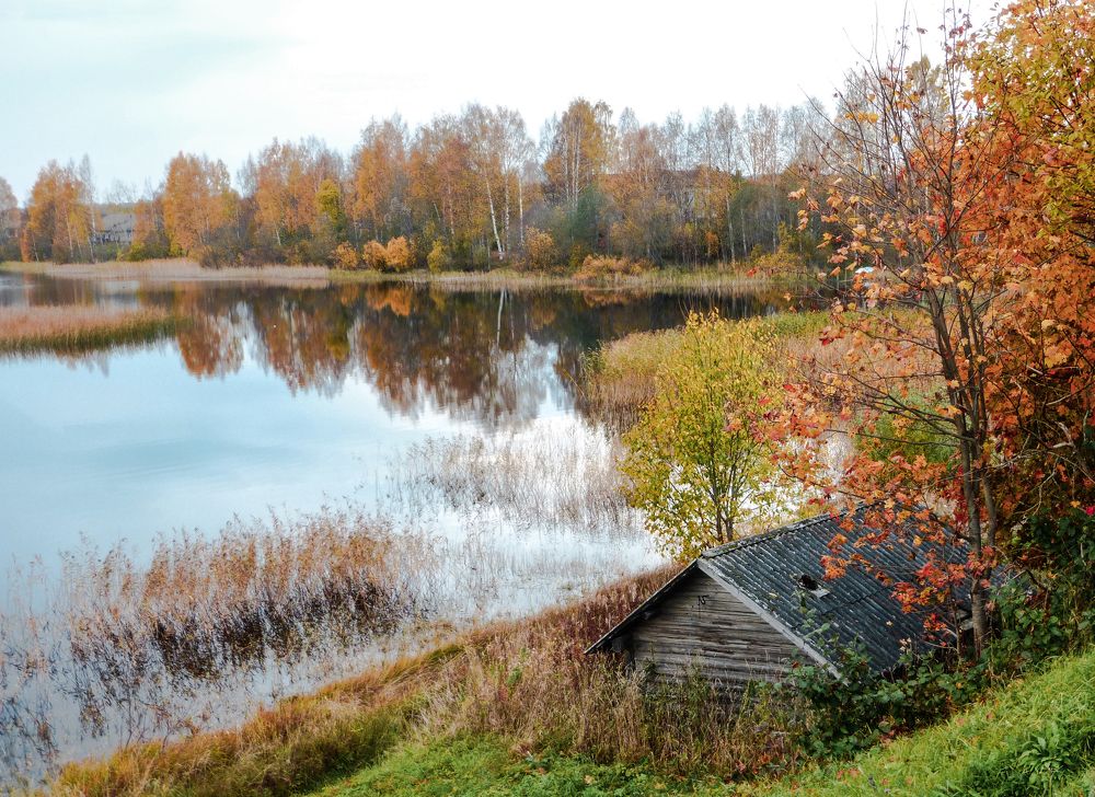 Photograph by Ковалев Николай