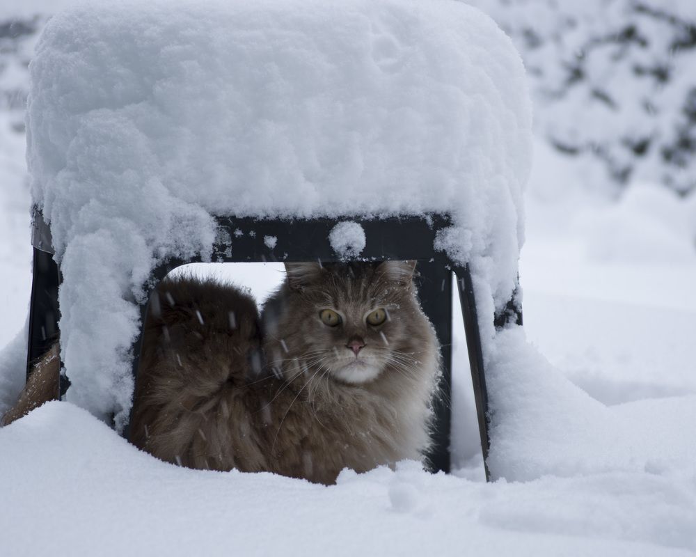 Photograph by Marina Lucenko