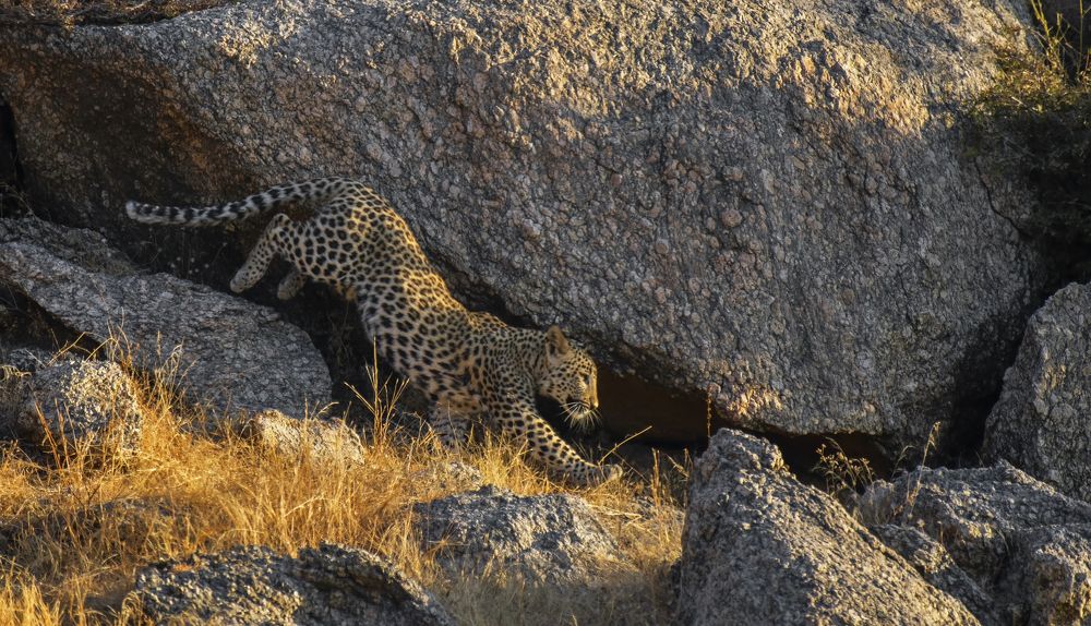 Photograph by Souvick Mukherjee