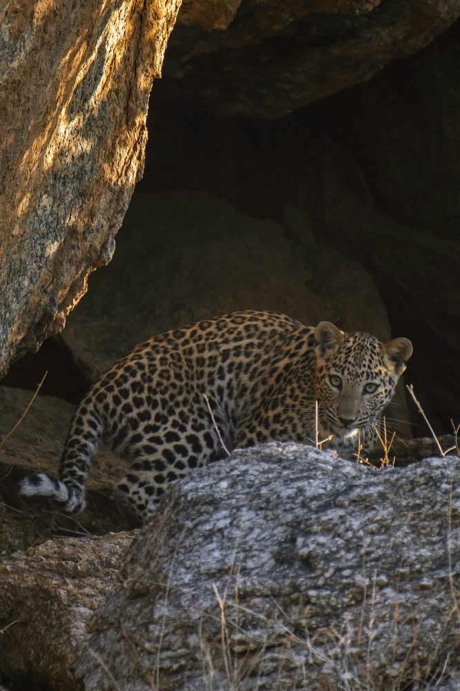 Photograph by Souvick Mukherjee
