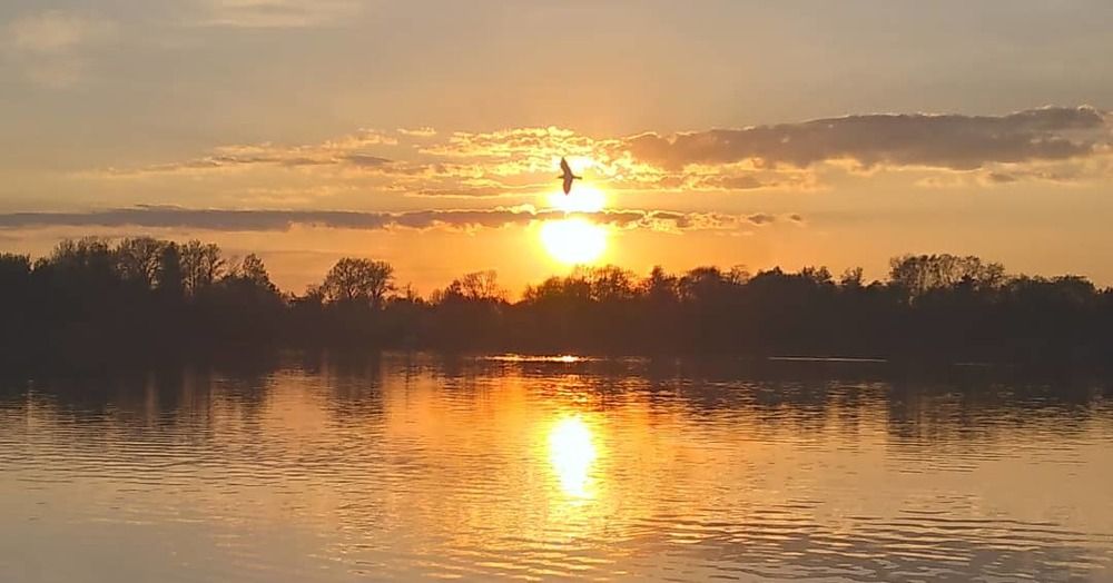 Photograph by Любовь Макарова