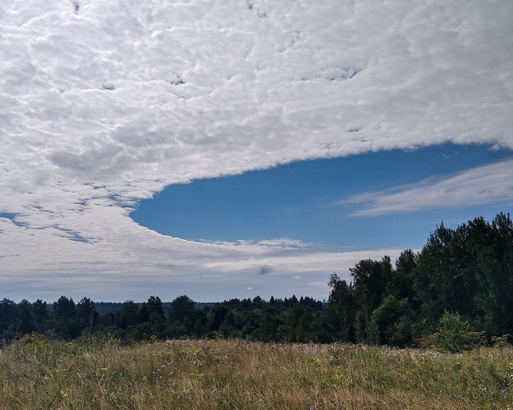 Photograph by Алексей Копылов