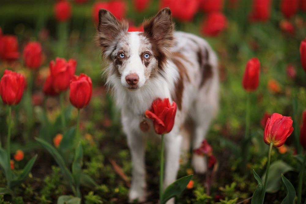 Photograph by Алина Савельева