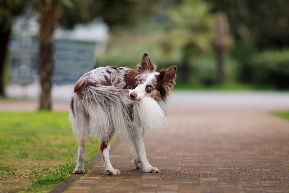 Photograph by Алина Савельева