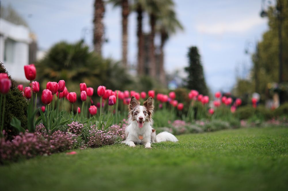 Photograph by Алина Савельева