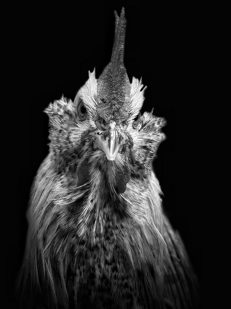 Photograph by Khosro Sayadi