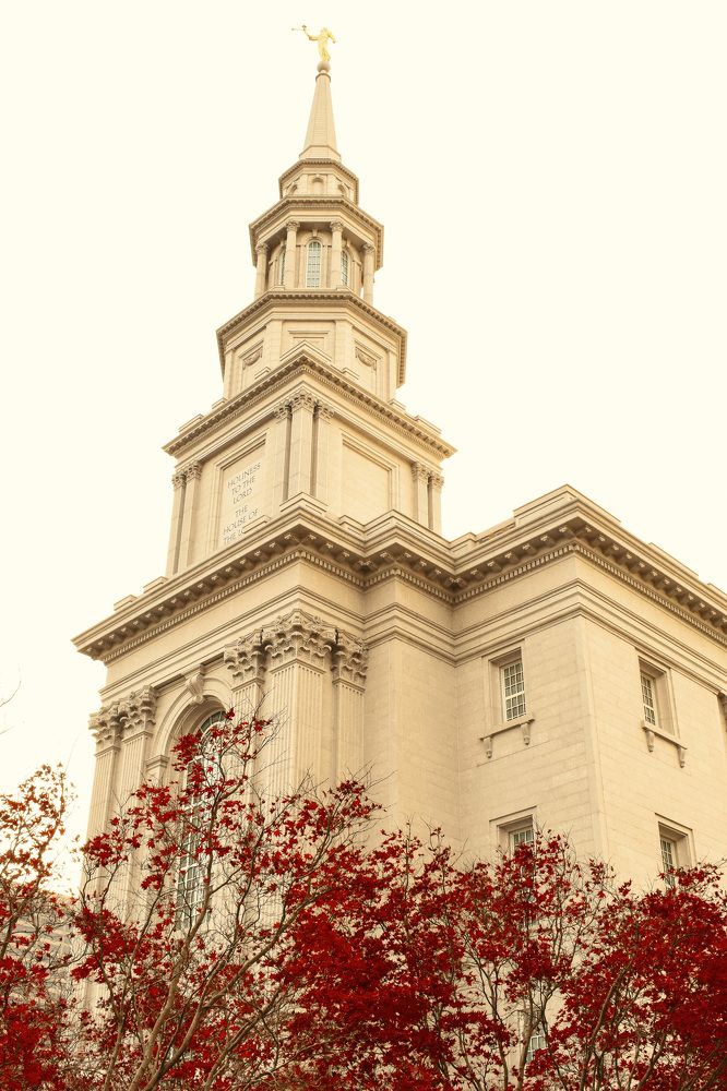 Photograph by Gargee Chowdhury