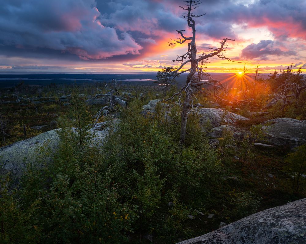 Photograph by Евгений Волосков