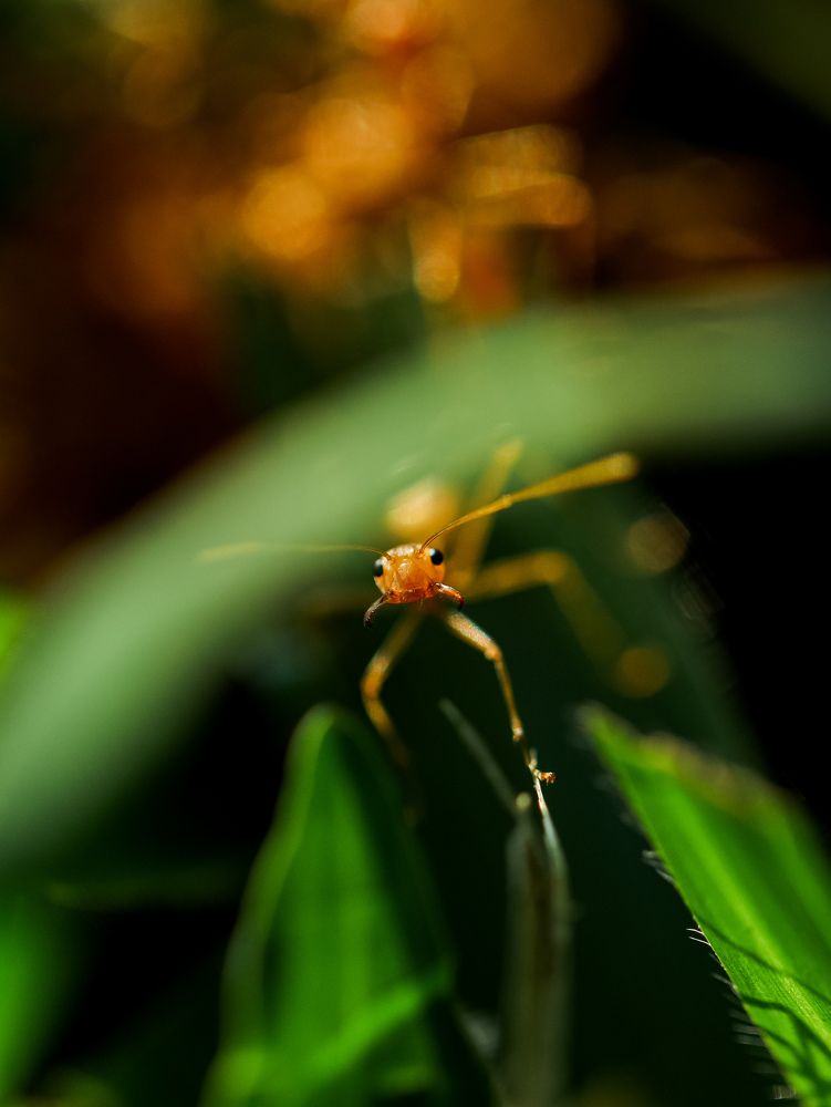 Фотография автора Jatin Waghela