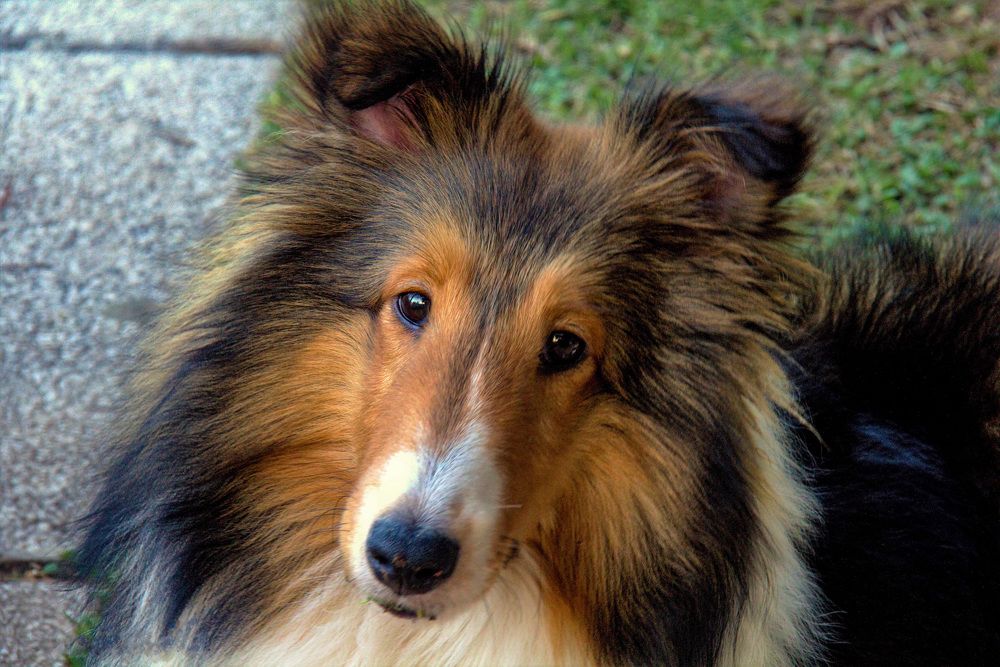 Photograph by Olinda Garcia Favre