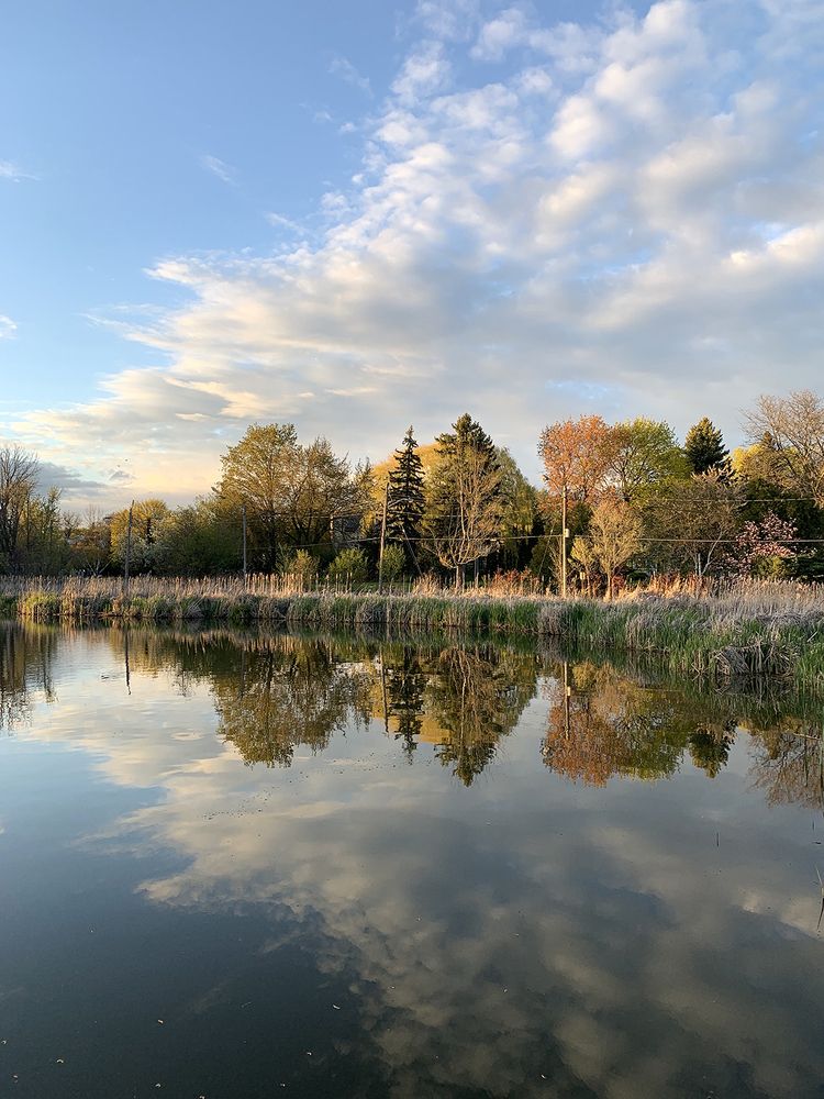 Photograph by Liliana Grup