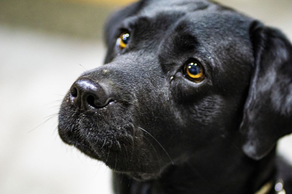 Photograph by Olinda Garcia Favre