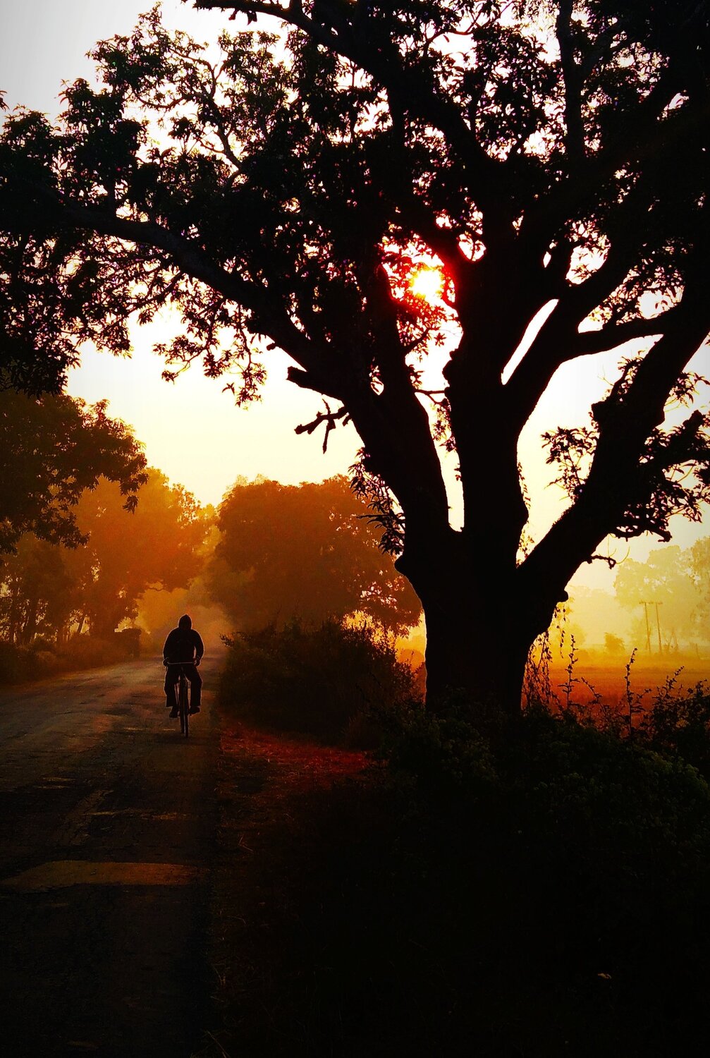 Photo #6090387
