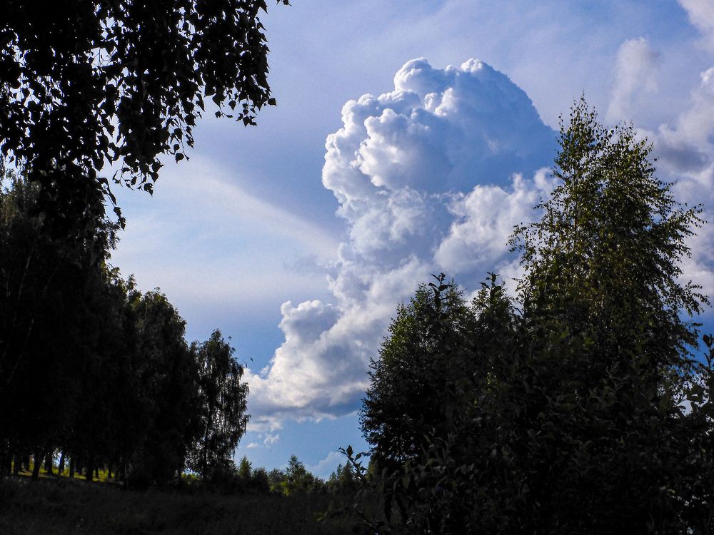 Photograph by Игорь Смирнов