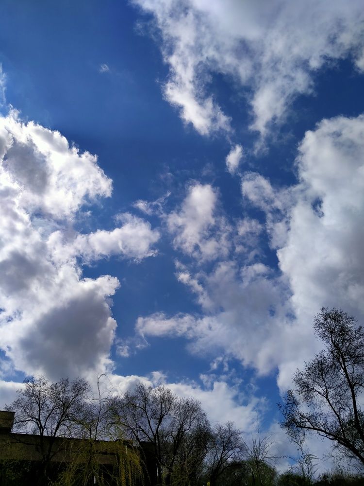 Photo #6090421
