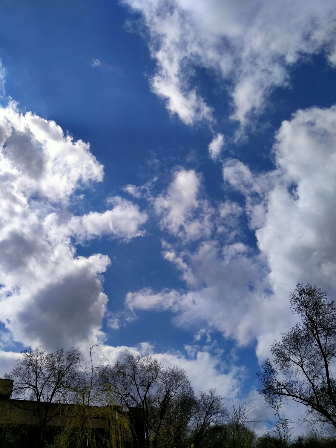 Photo #6090421