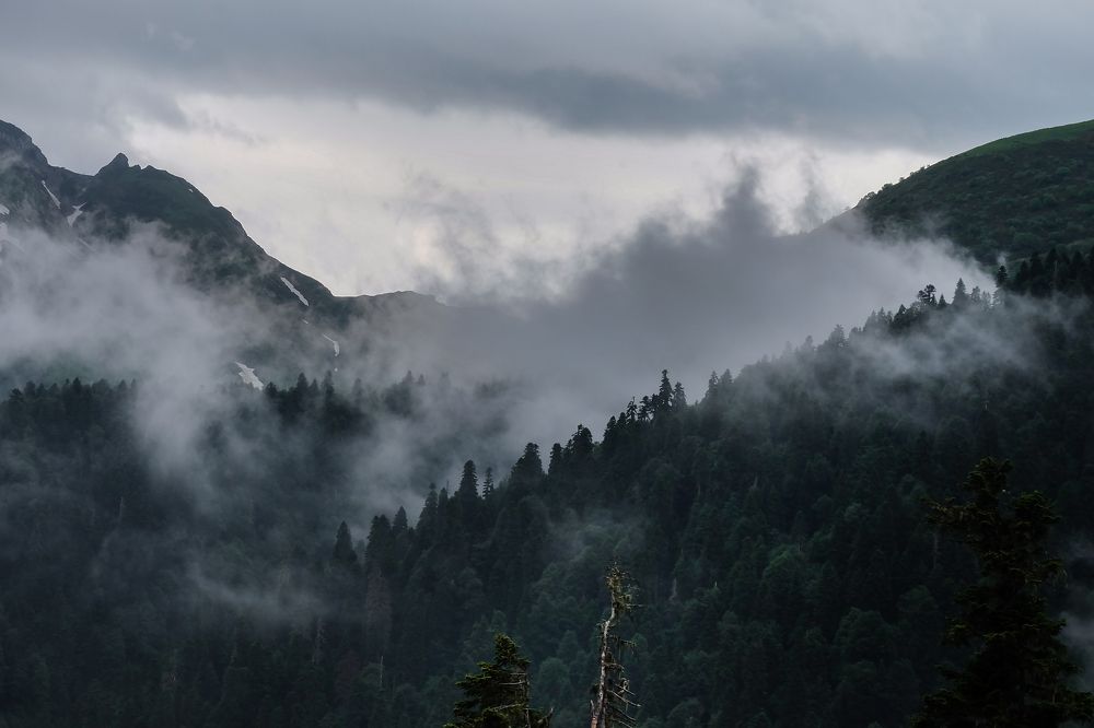 Photograph by Данил Макаренко