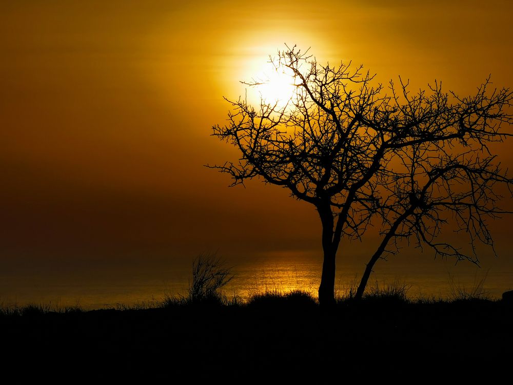 Photograph by Дмитрий Рассыльщиков