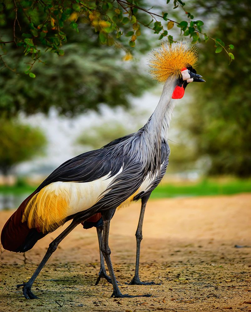 Photograph by Rakesh Kumar