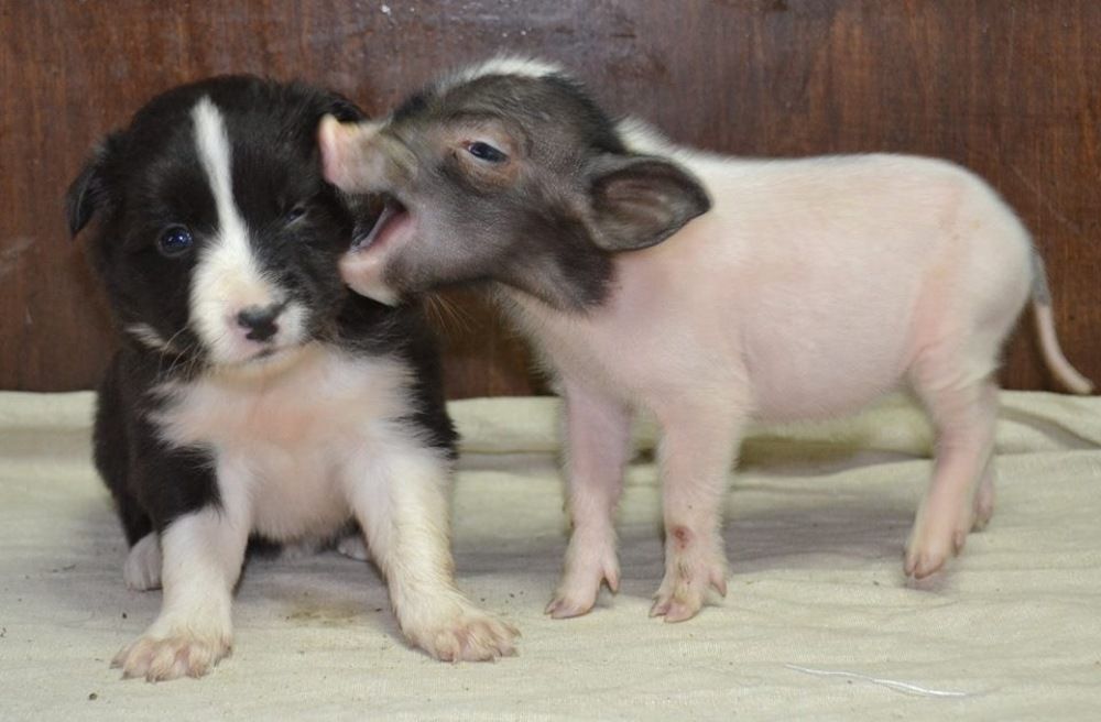 Photograph by Светлана Федяева