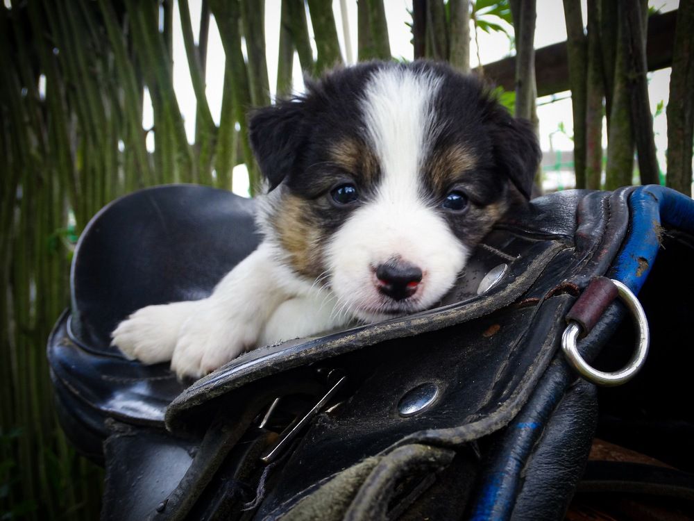 Photograph by Светлана Федяева