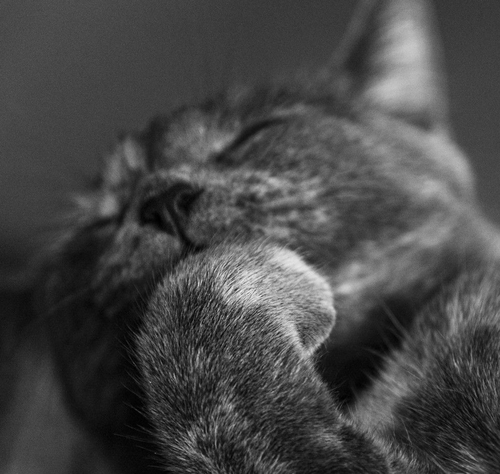 Photograph by ИРЕНА Федорова