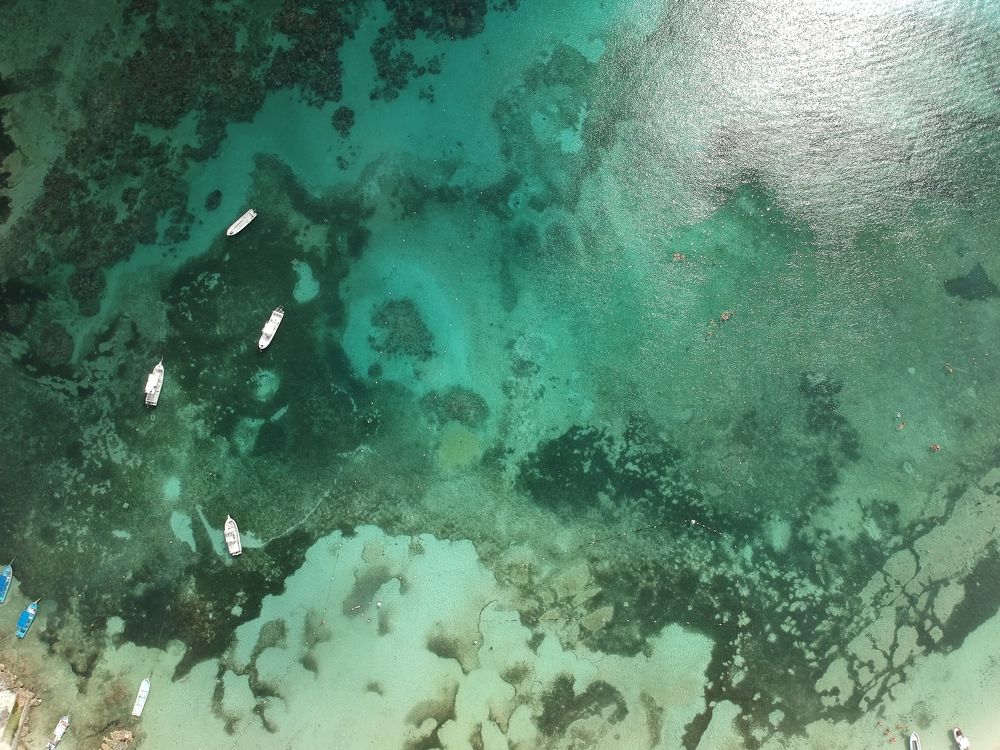 Photograph by Carlos Ignacio Morones Garcia