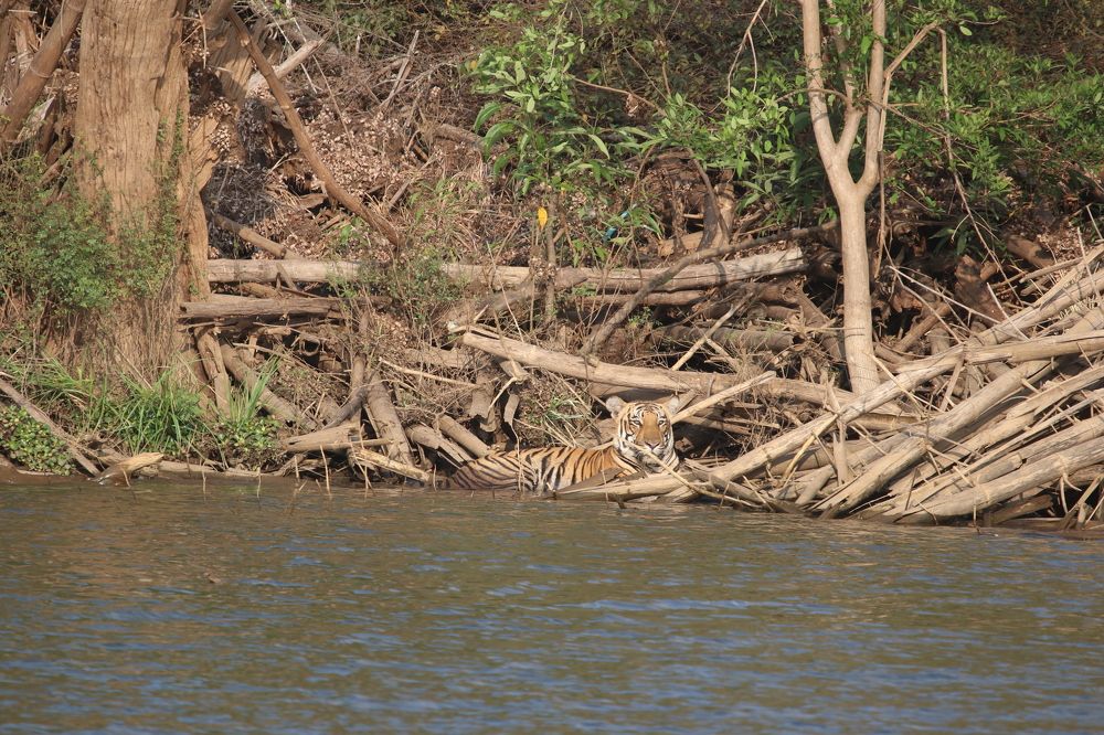 Photograph by Vinay Thallam