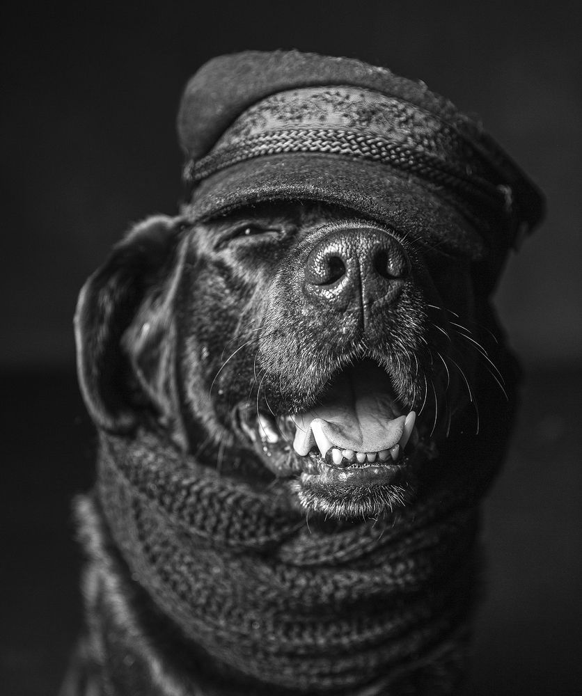 Photograph by наталья жданюк