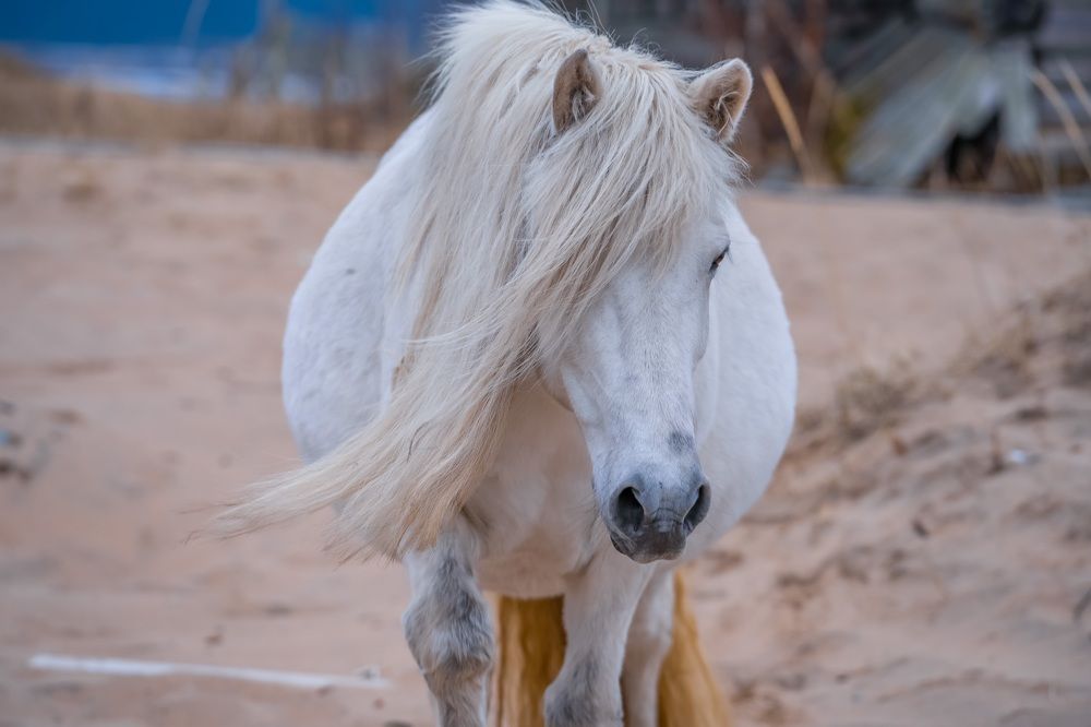 Photograph by Yan Silchenko