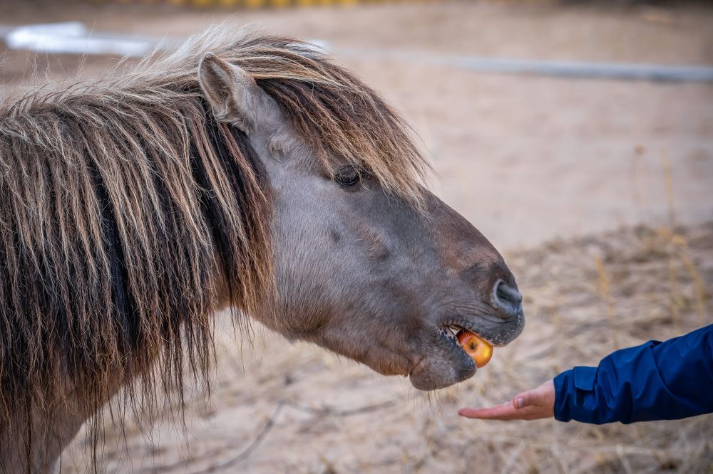 Photograph by Yan Silchenko