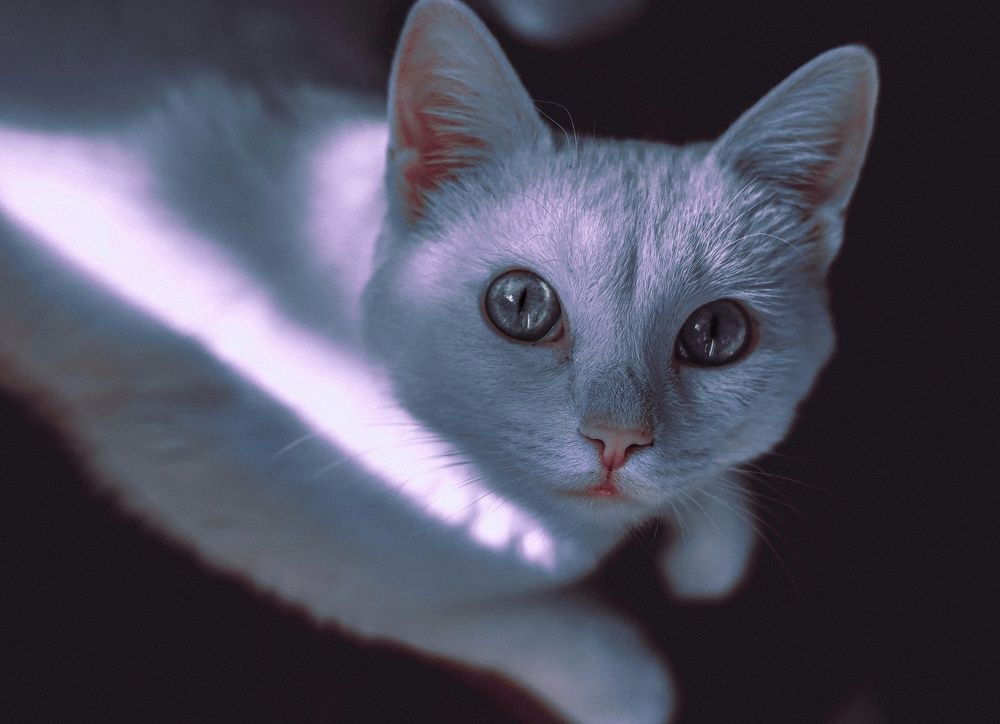 Photograph by Лина Липатова