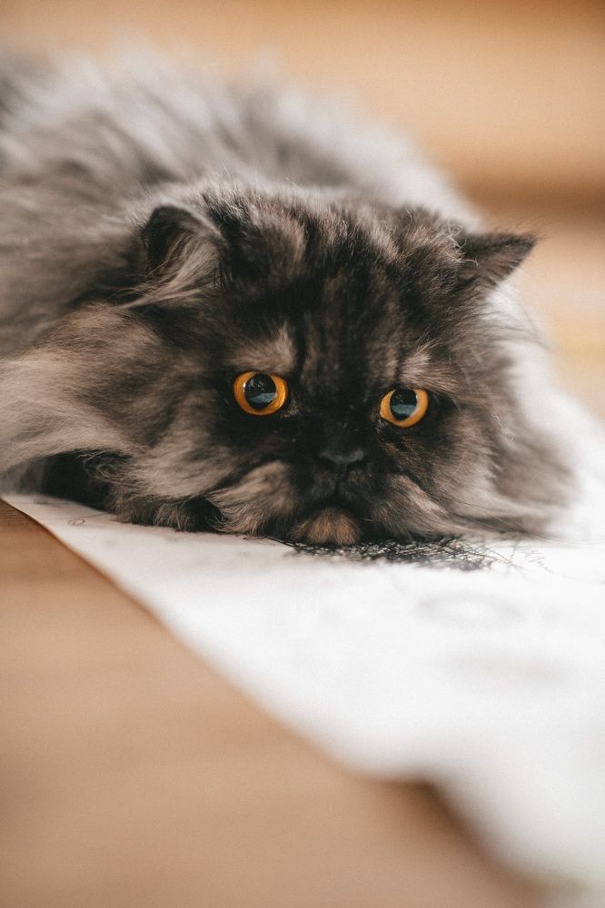 Photograph by Анна Белка